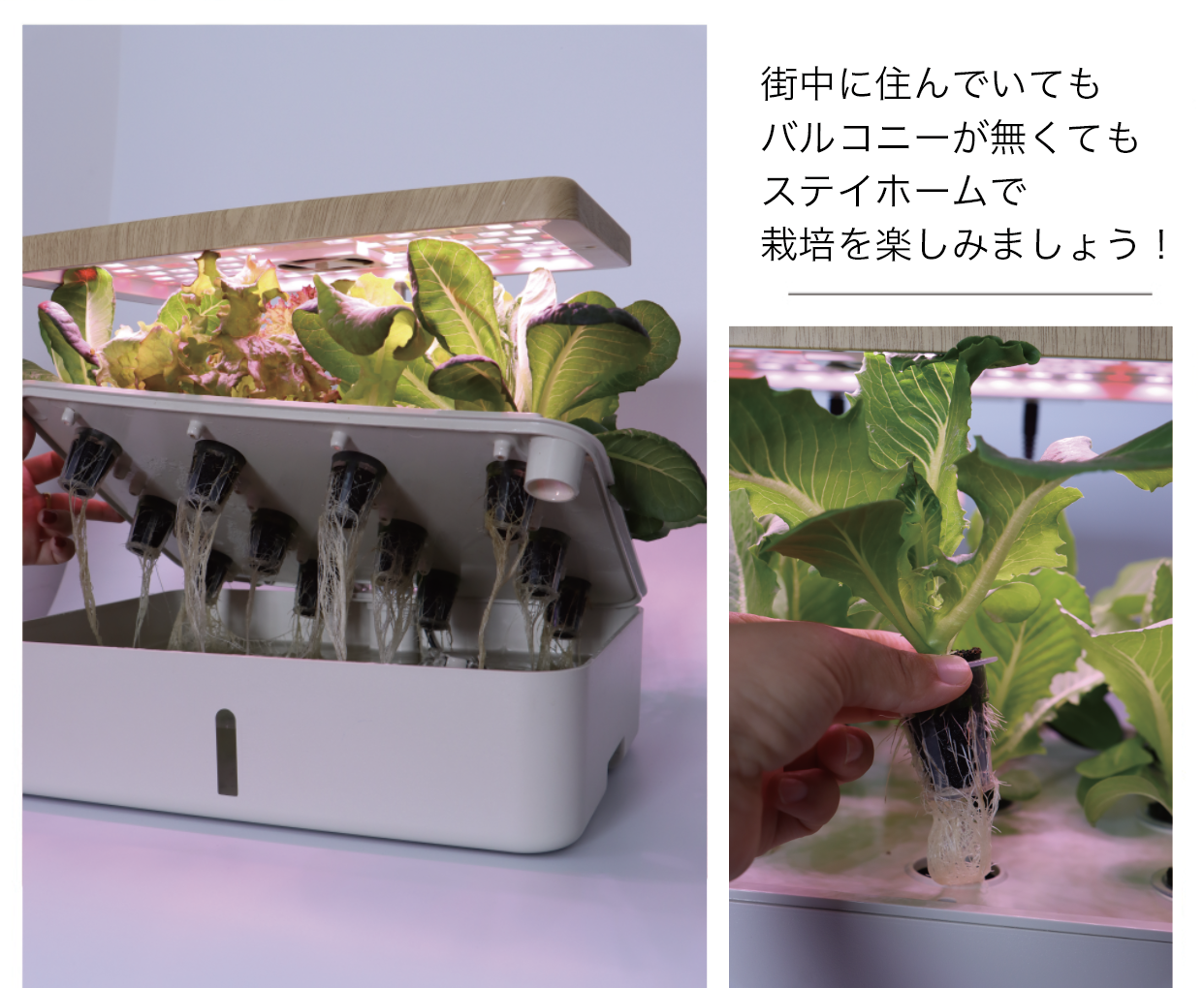 自動水やり＆無農薬！野菜・果物・花を成長促進！ スマートプランター